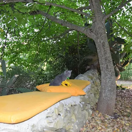 Casa Il Carrubbo * Frigintini
