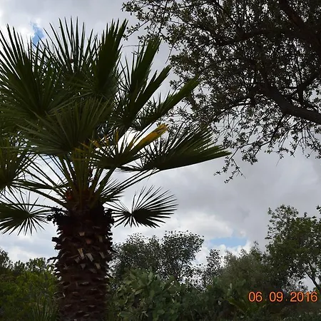 Country house Casa Il Carrubbo